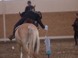 IMG_3121_web